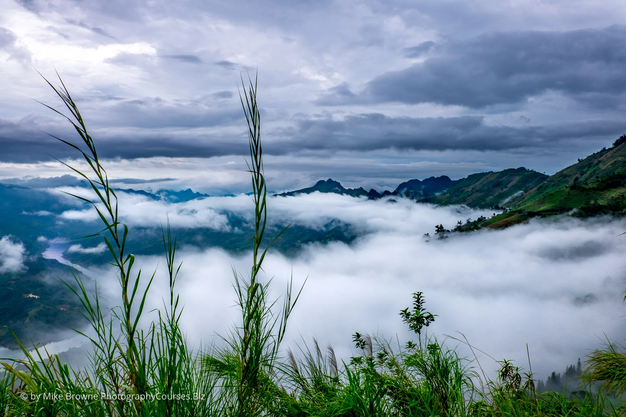 Tall grasses above clouds with mountains and cloudy sky beyond