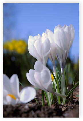 Bracknell photography competition