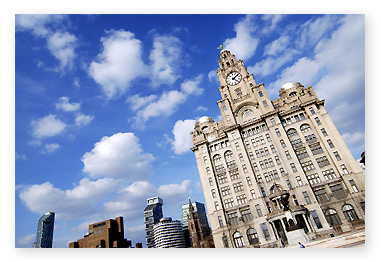 liver-building