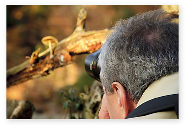 photo-break-1
