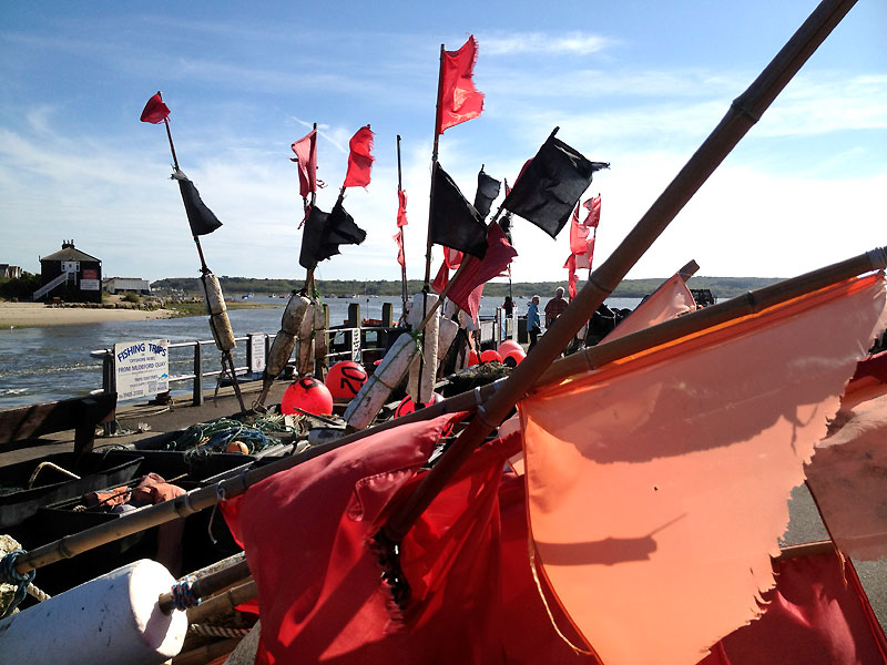 Medley of red and black tattered flags against a blue sky