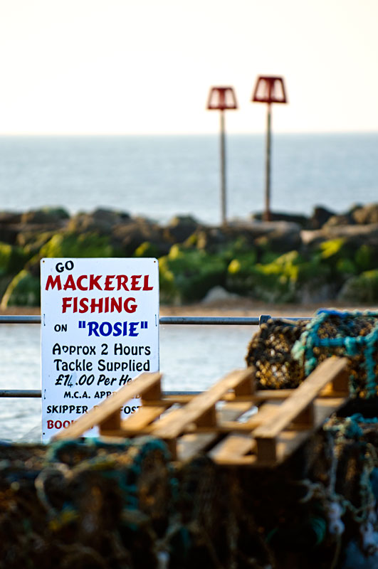 White sign offering mackerel fishing on a boat called Rosie at Mudeford Quay