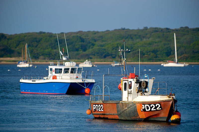 Fishing boats at sea facing the right with land in the distance