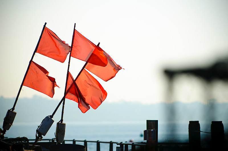 Six red tattered flags blowing to the right
