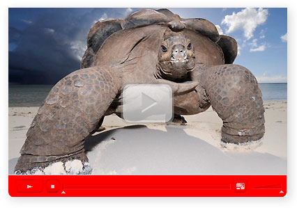 Veolia wildlife photographer of the year