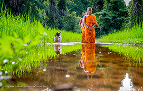 Lolei Monks reflection 290