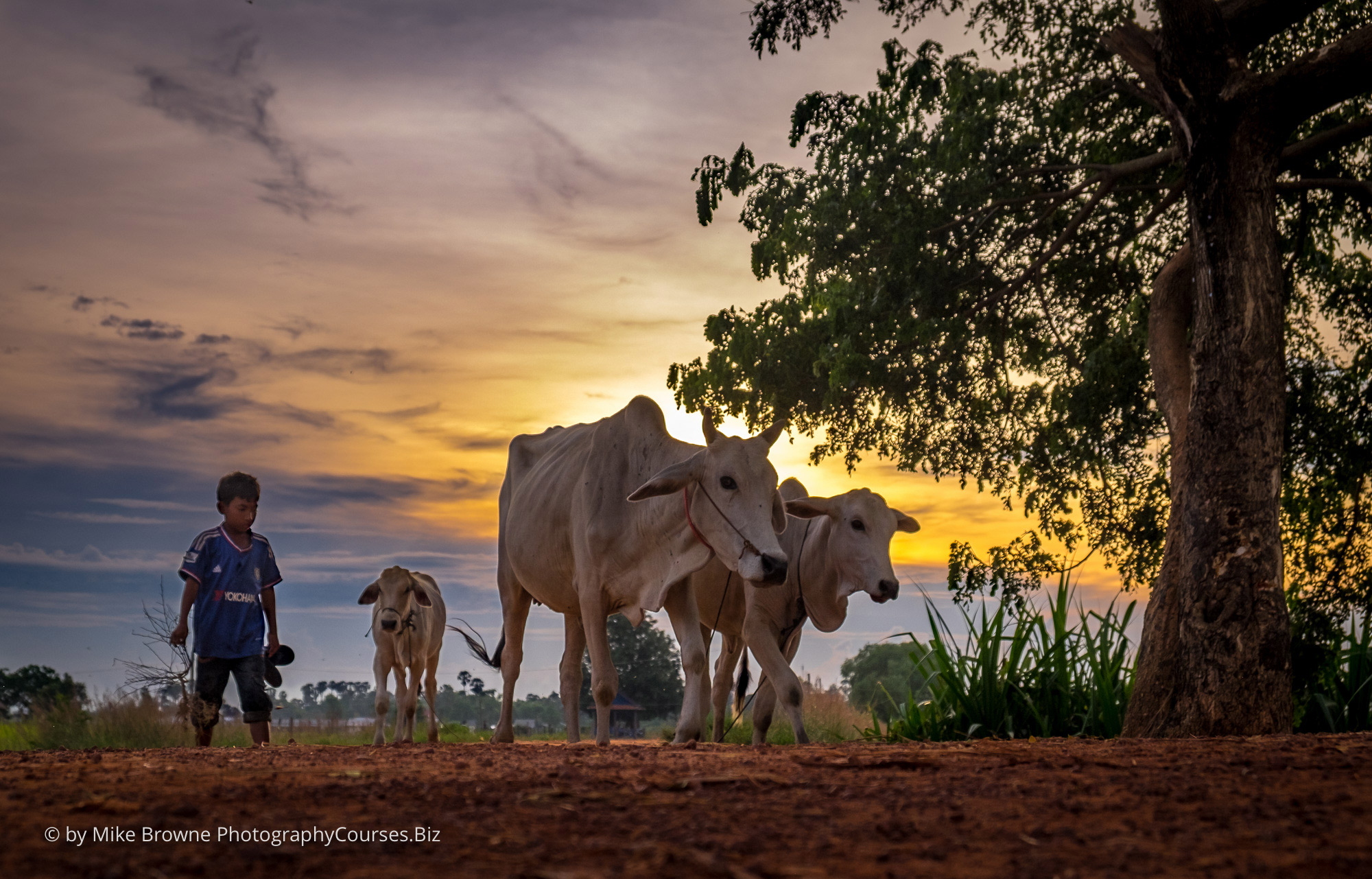 1348-Cambodia-16-479-2