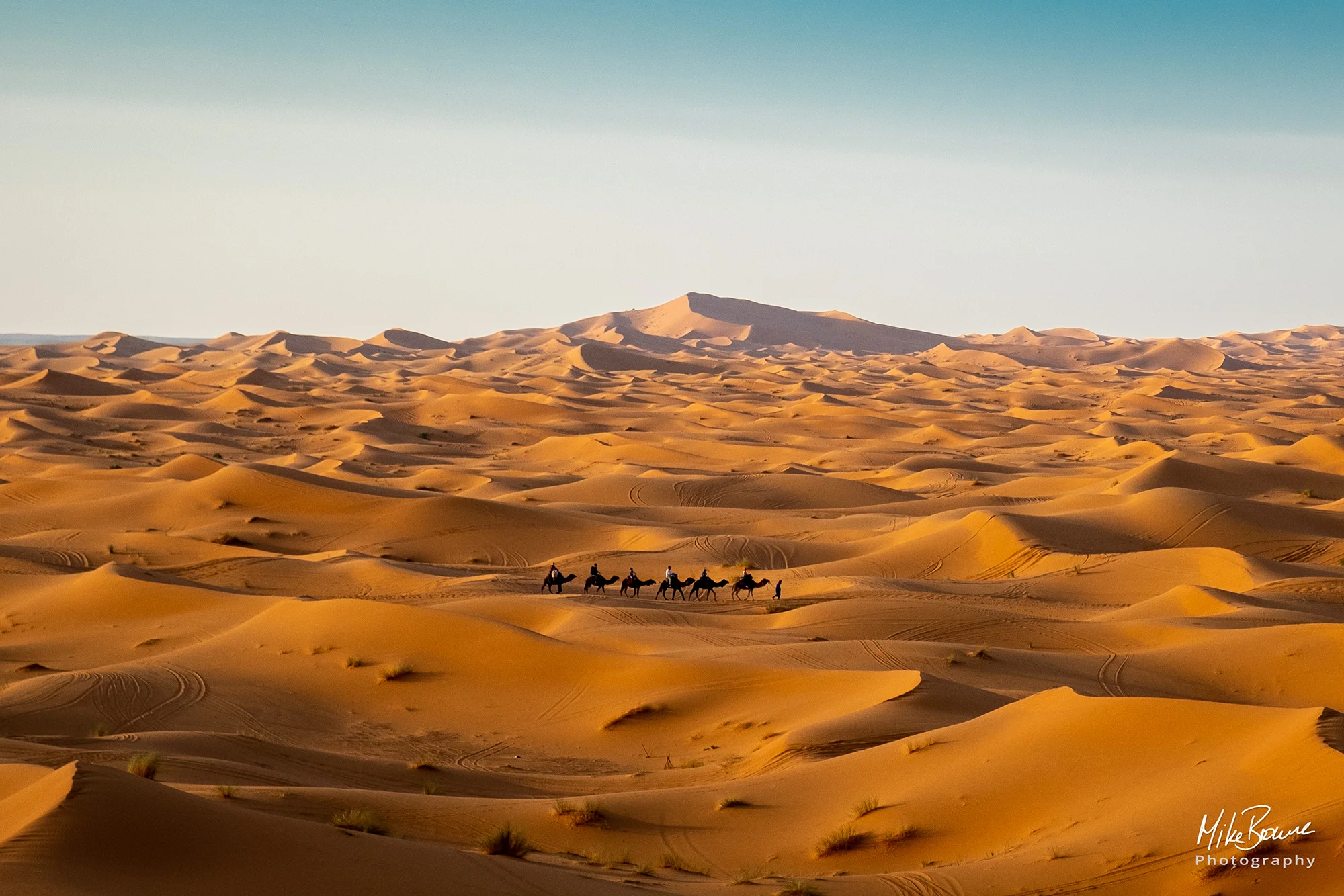 Distant camels and riders in the sand dunes at Merzouga, Morocco