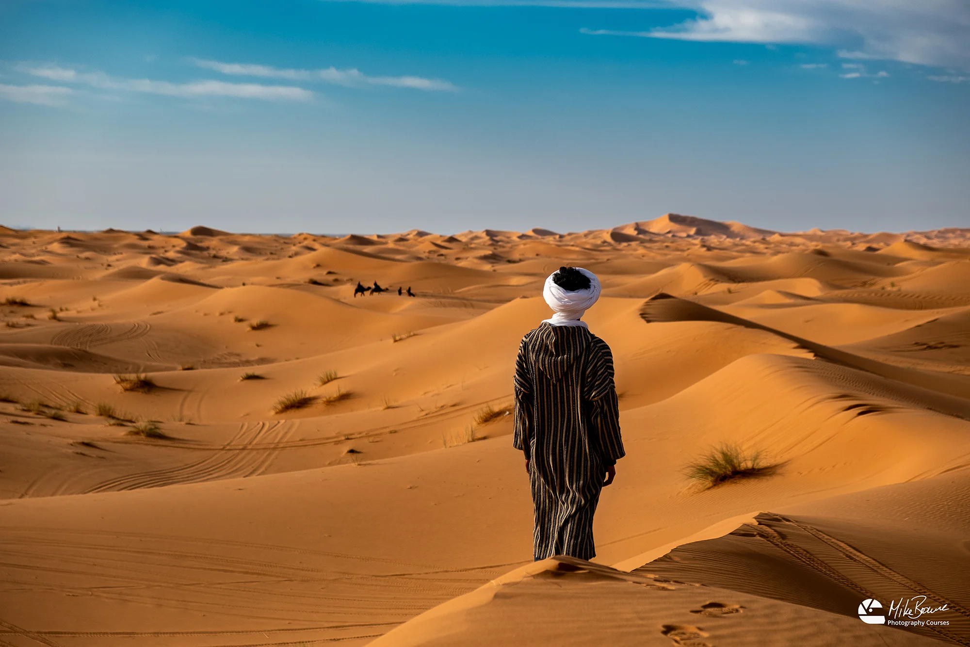 Moroccan man wearing striped djellaba and white head scarf looking out over sand dunes in Sahara Desert at Merzouga in Morocco