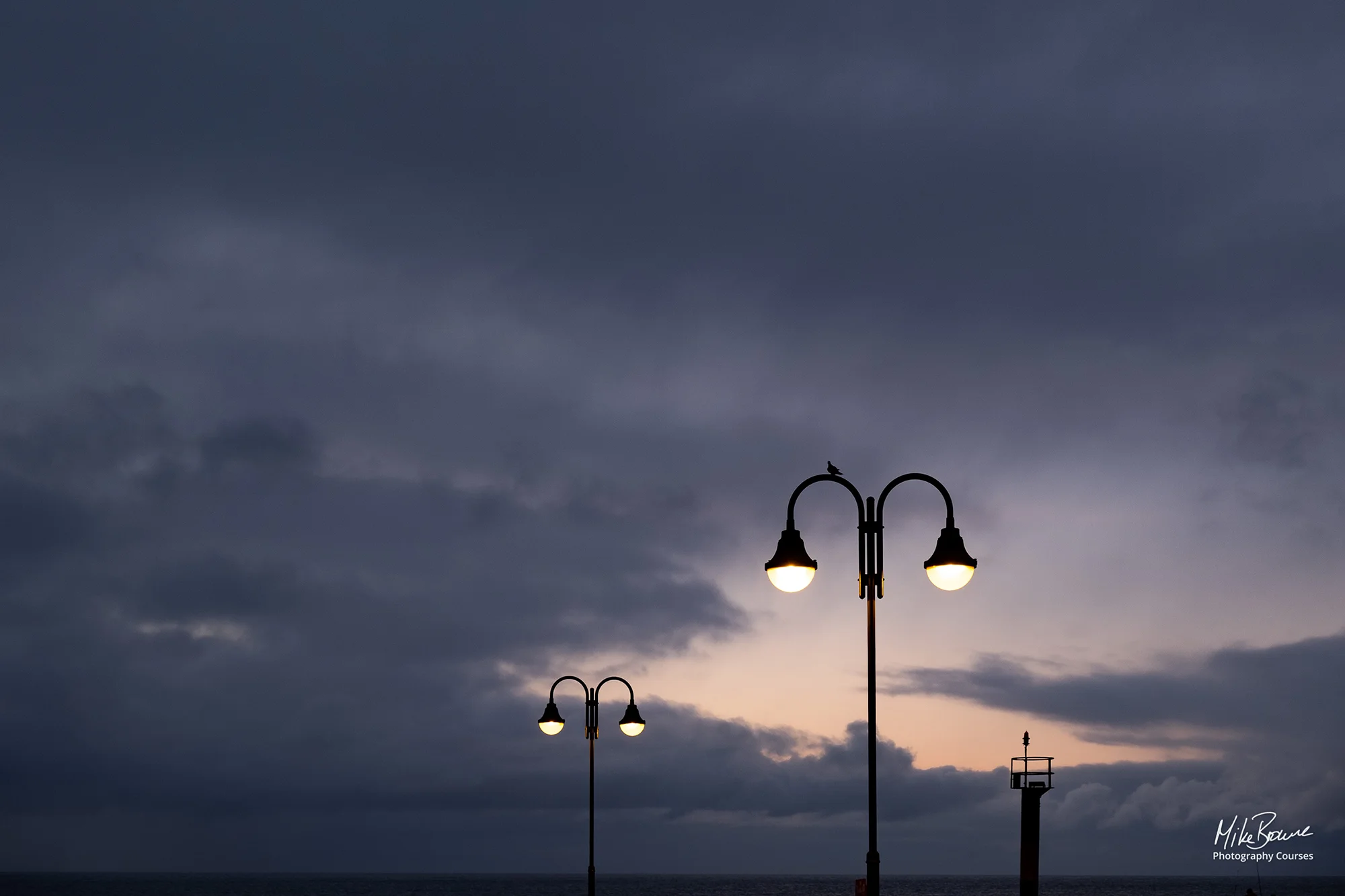 Two decorative street lamps with a bird sitting on one of them against pre-dawn cloudy sky