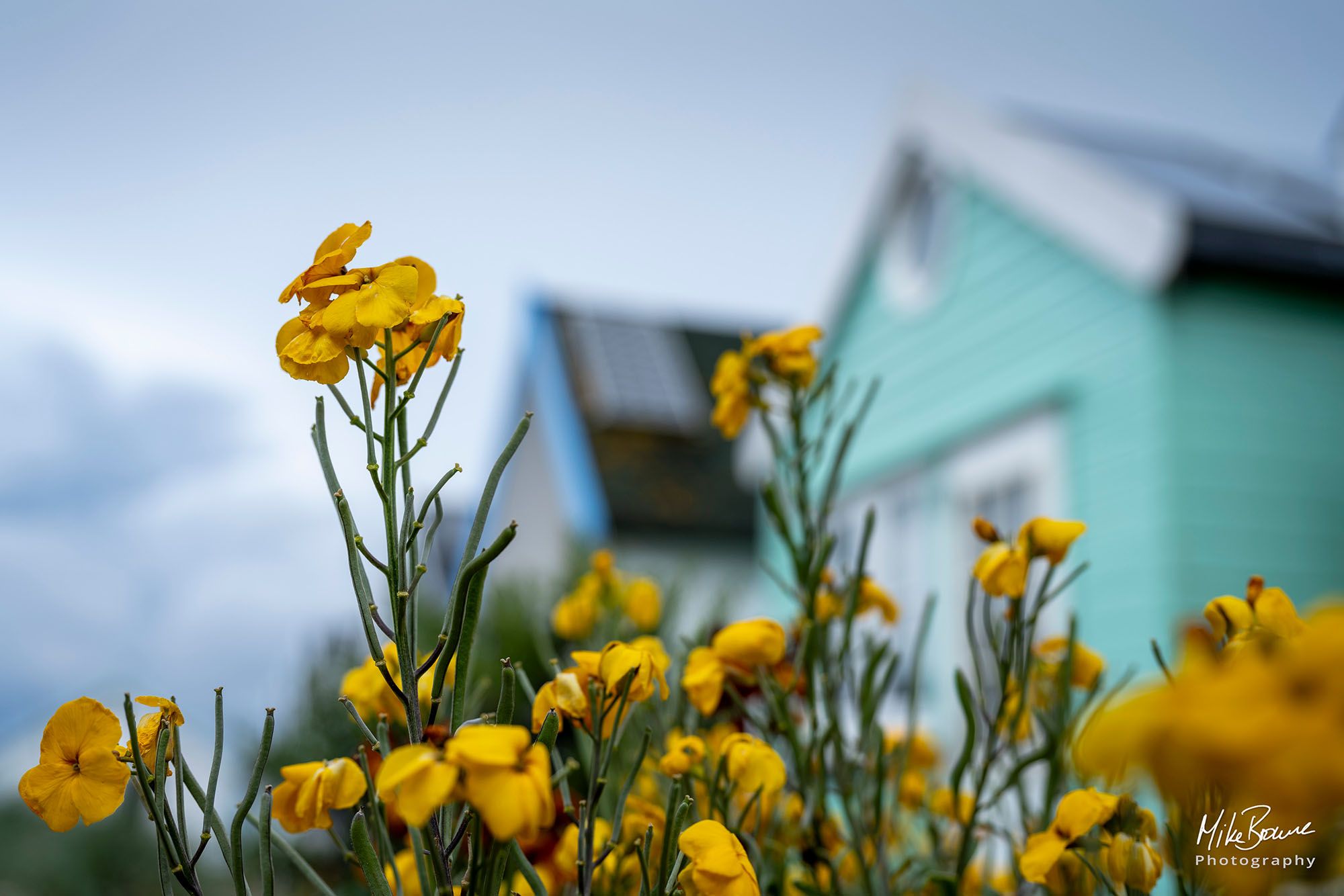 1448 Mudeford April 24-35