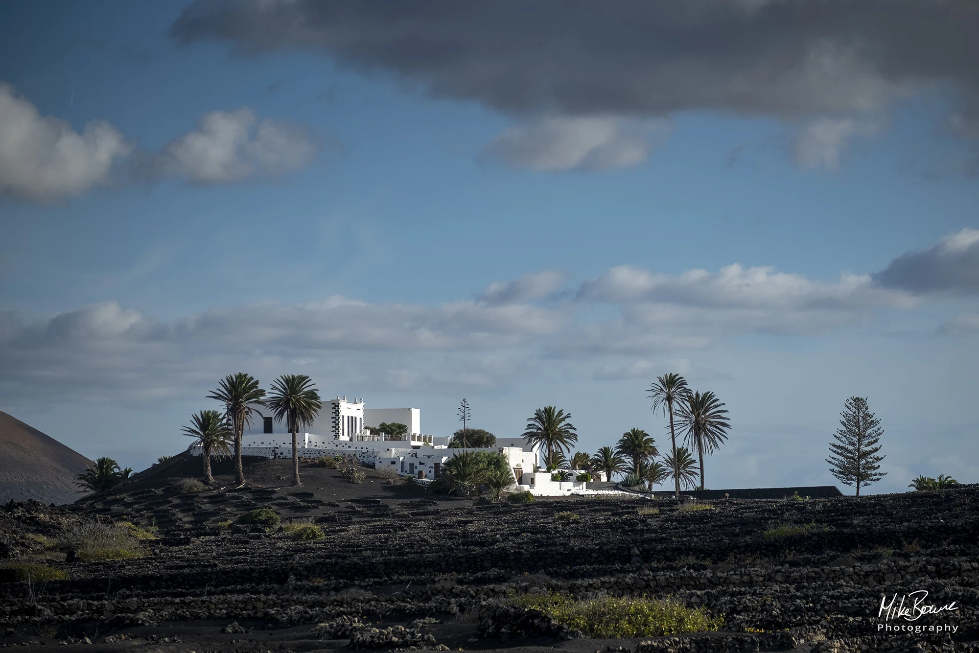 1461 Lanza 2023-432 copy