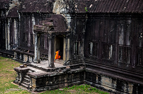 Angkor Monk 290