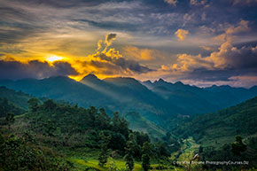 Hoang Su Phi 290