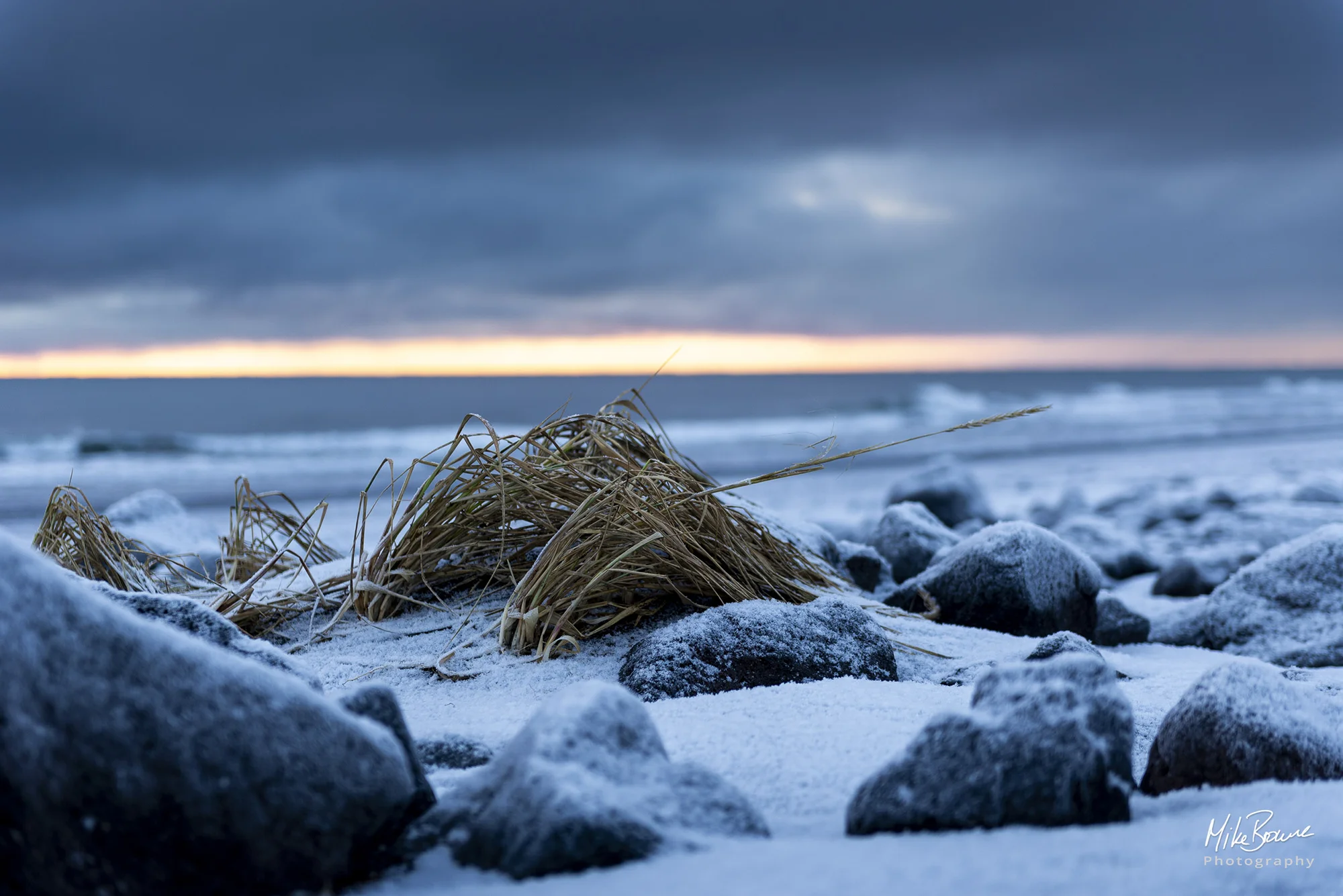 Tuft of dry yellow grass on a frost covered beach with storm clouds in sky