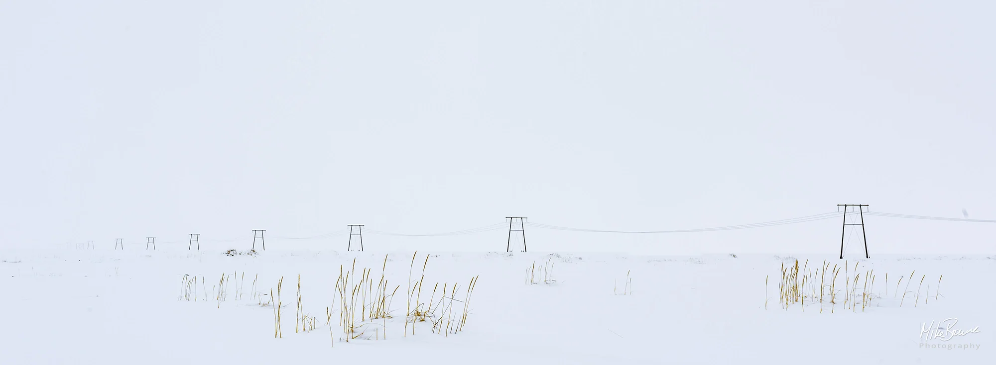 Power poles and tufts of yellow grass in a snow storm in Iceland