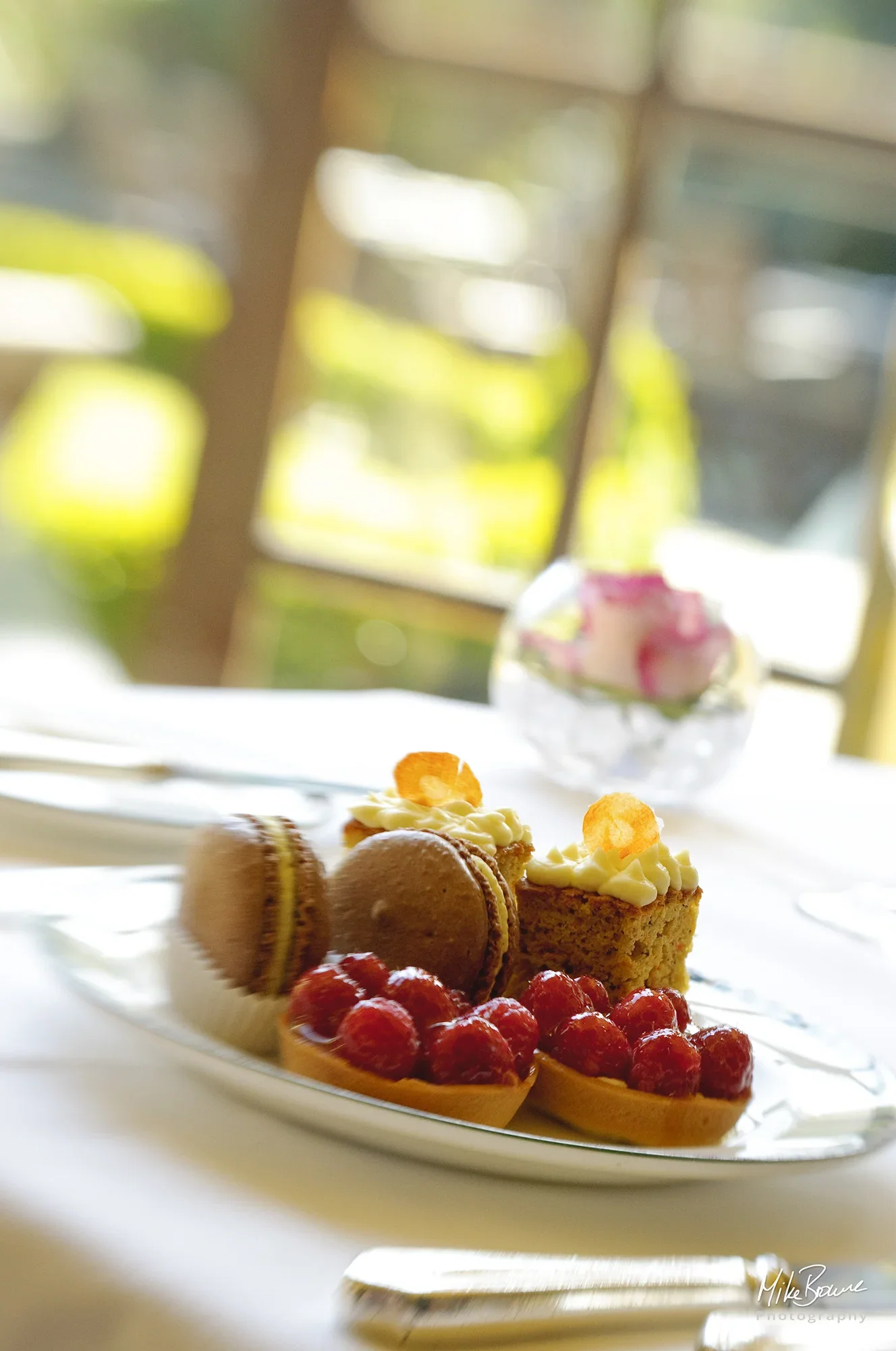 Raspberry tarts, Macarons and carrot cake on a white plate in a restaurant with garden view