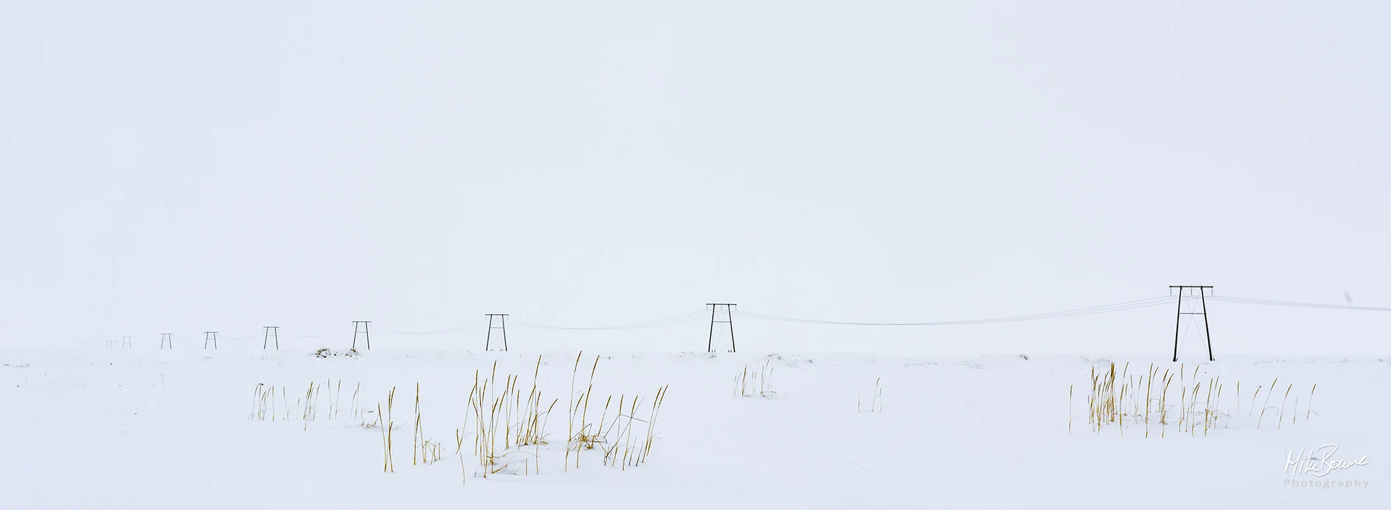 Power lines in a snow storm