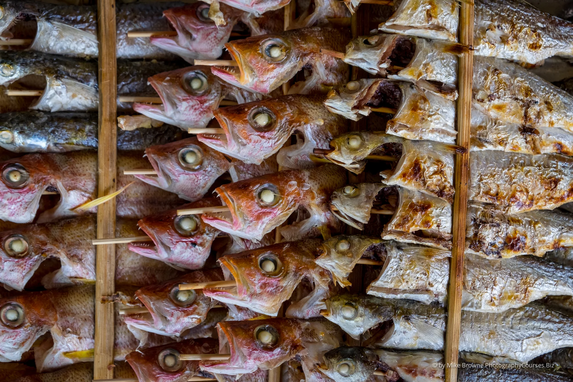 Rack of grilled fish on sticks at Kep Cambodia