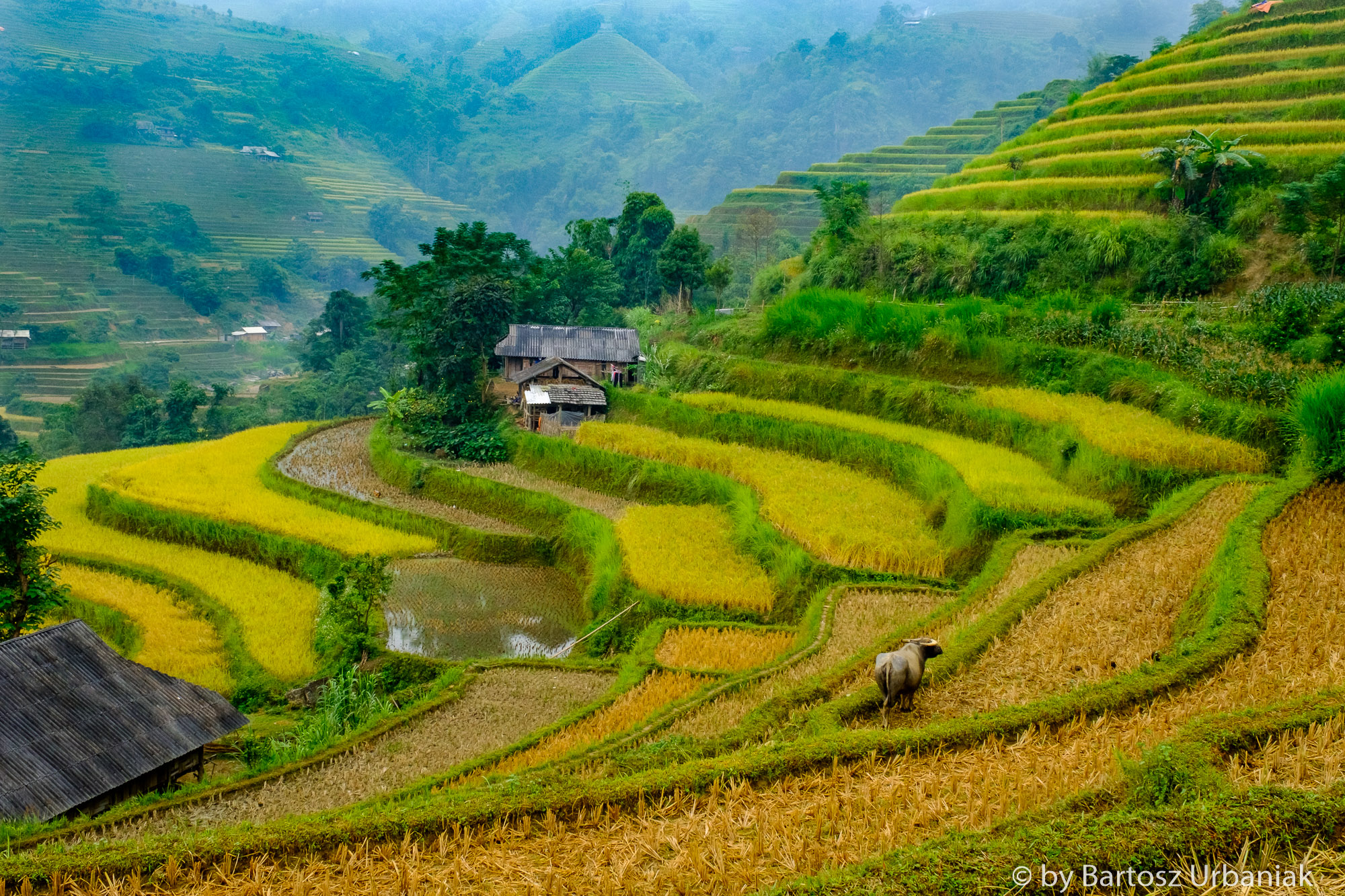 Mike-Browne-Photography-Vietnam-05