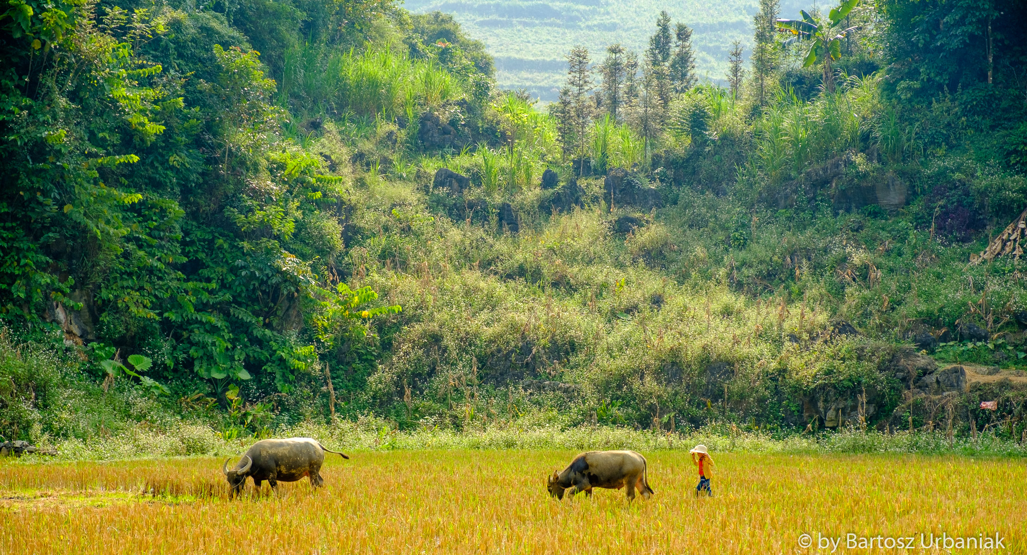 Mike-Browne-Photography-Vietnam-02