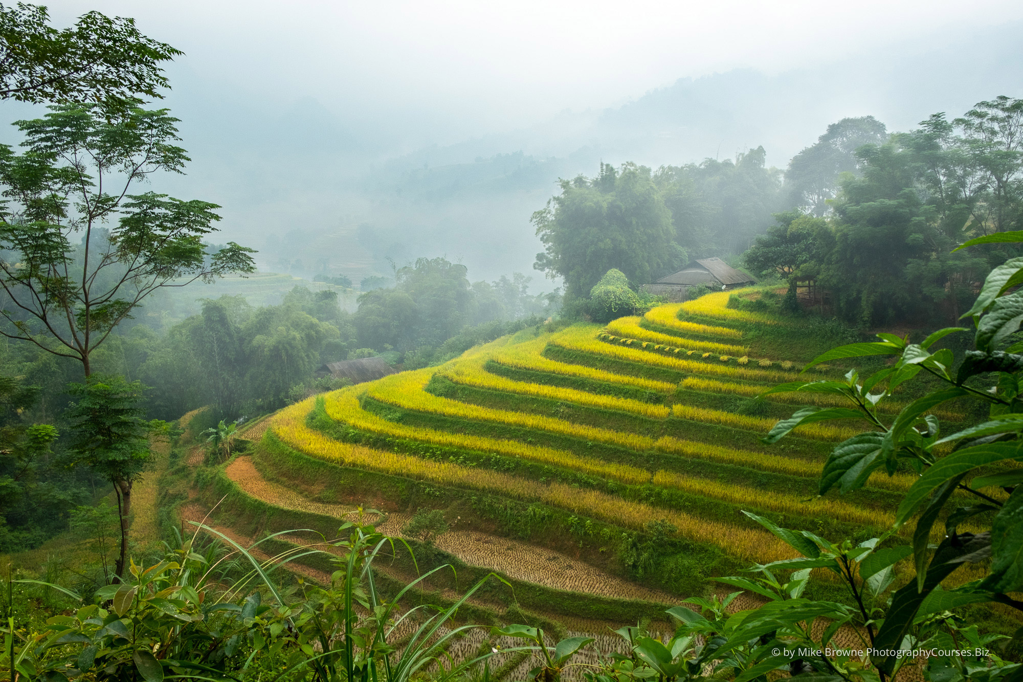 Mike-Browne-Photography-Vietnam-19
