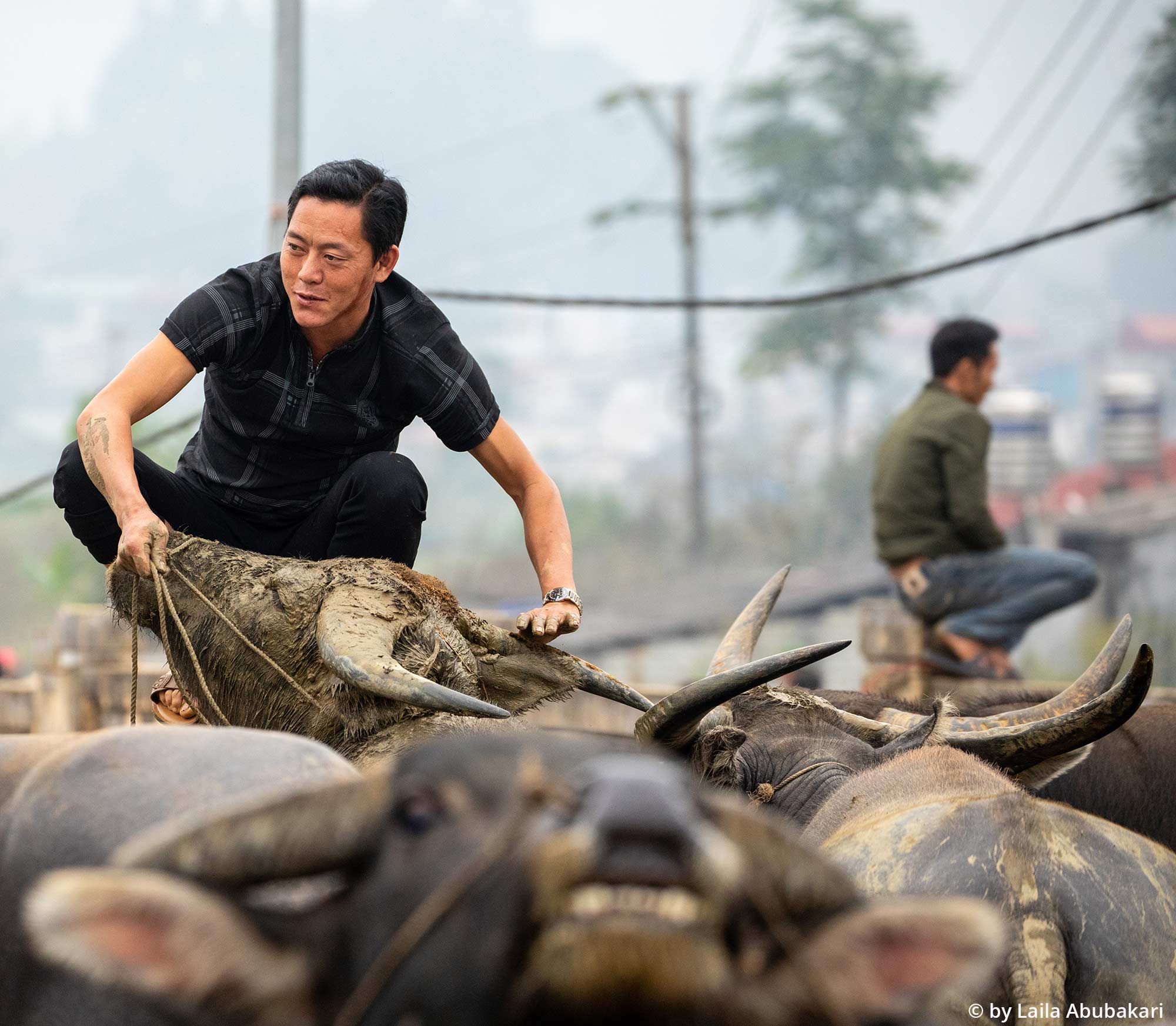 Mike-Browne-Photography-Vietnam-21