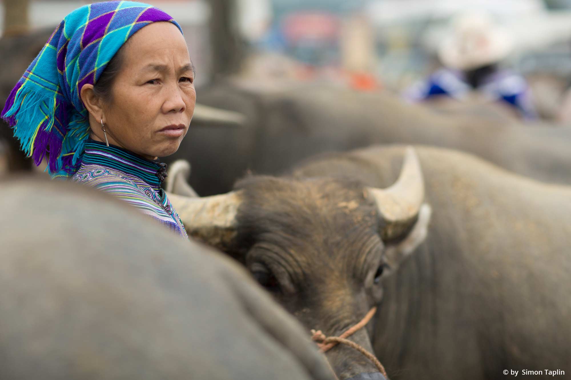 Mike-Browne-Photography-Vietnam-28