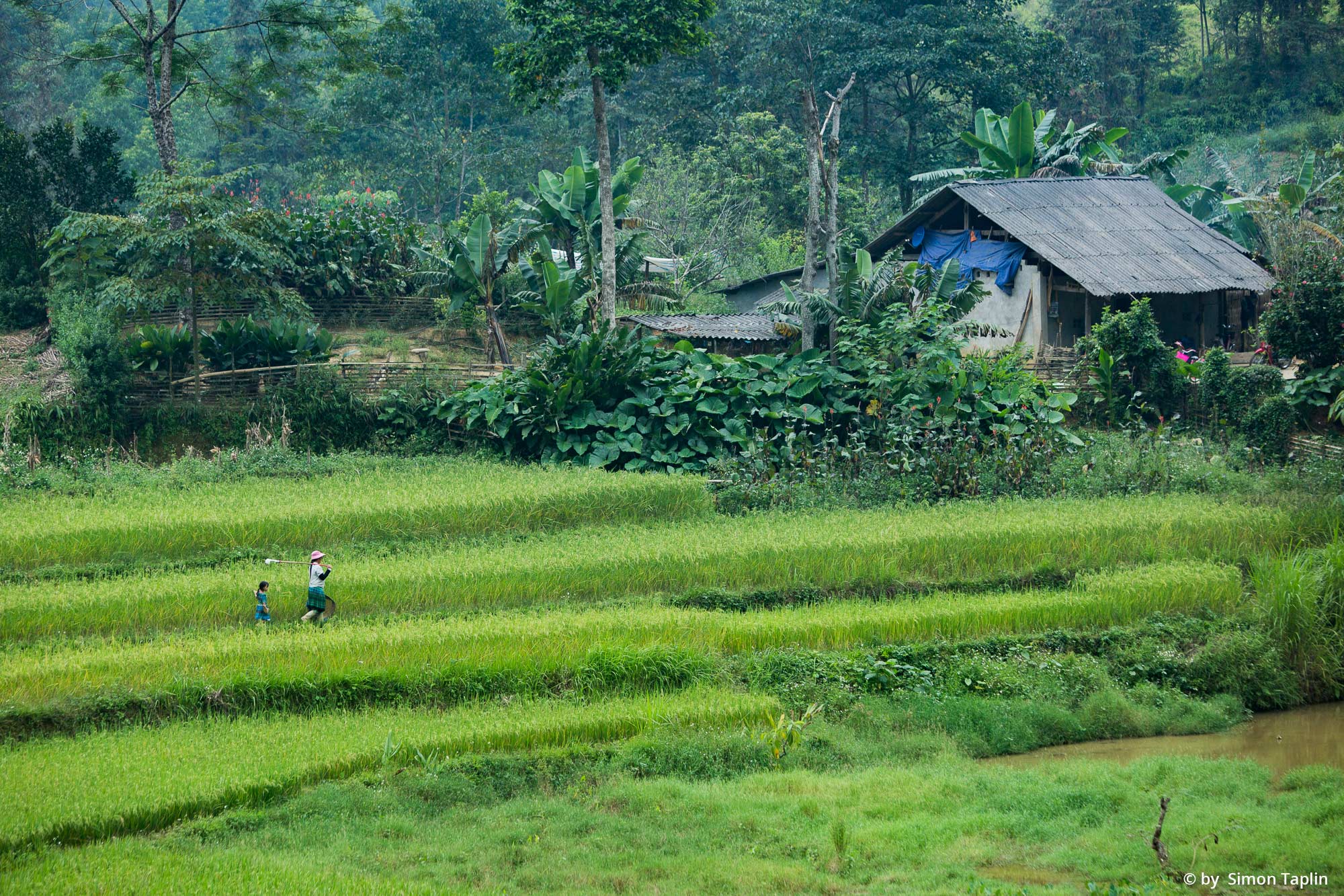 Mike-Browne-Photography-Vietnam-27