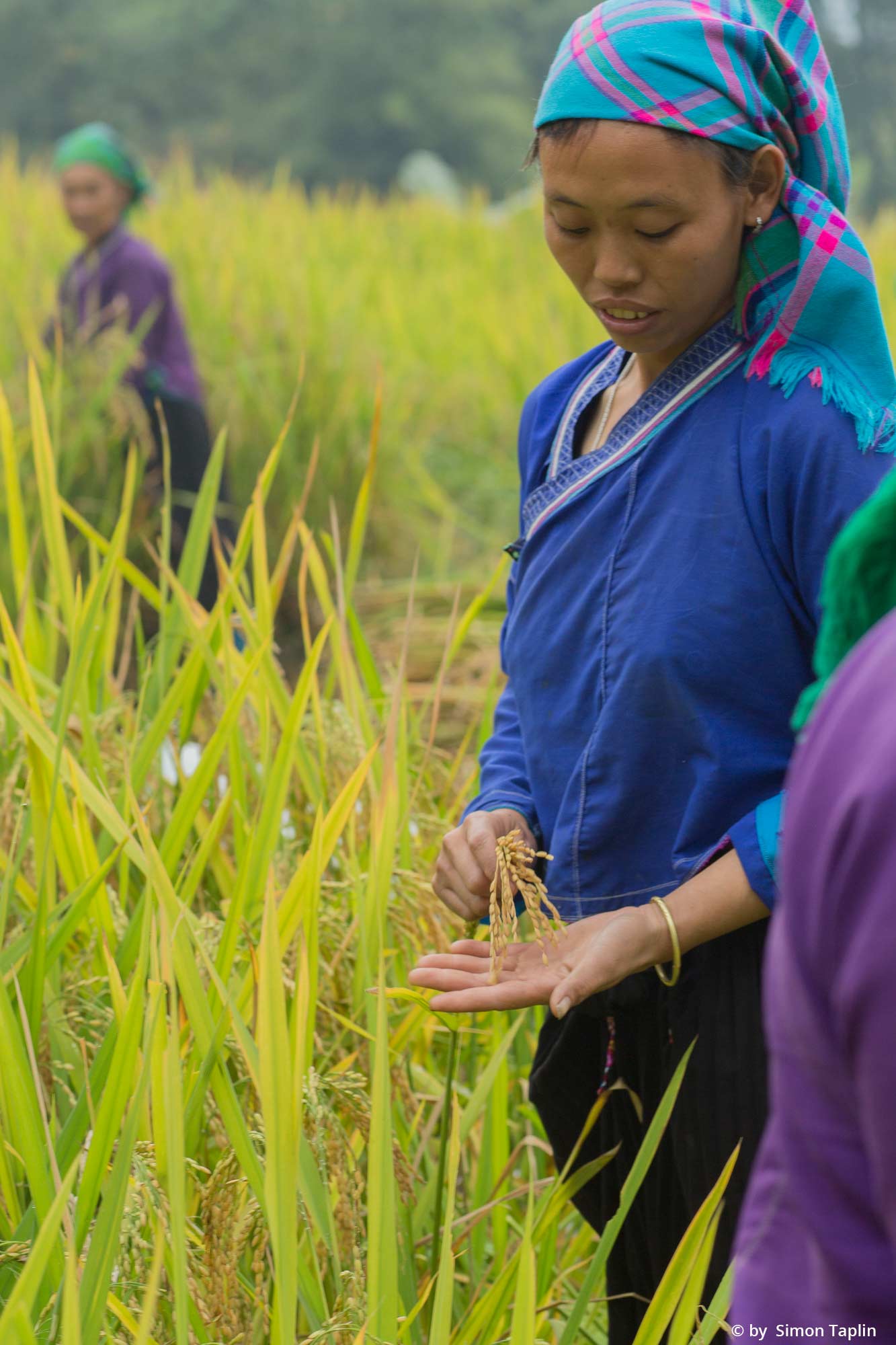 Mike-Browne-Photography-Vietnam-26