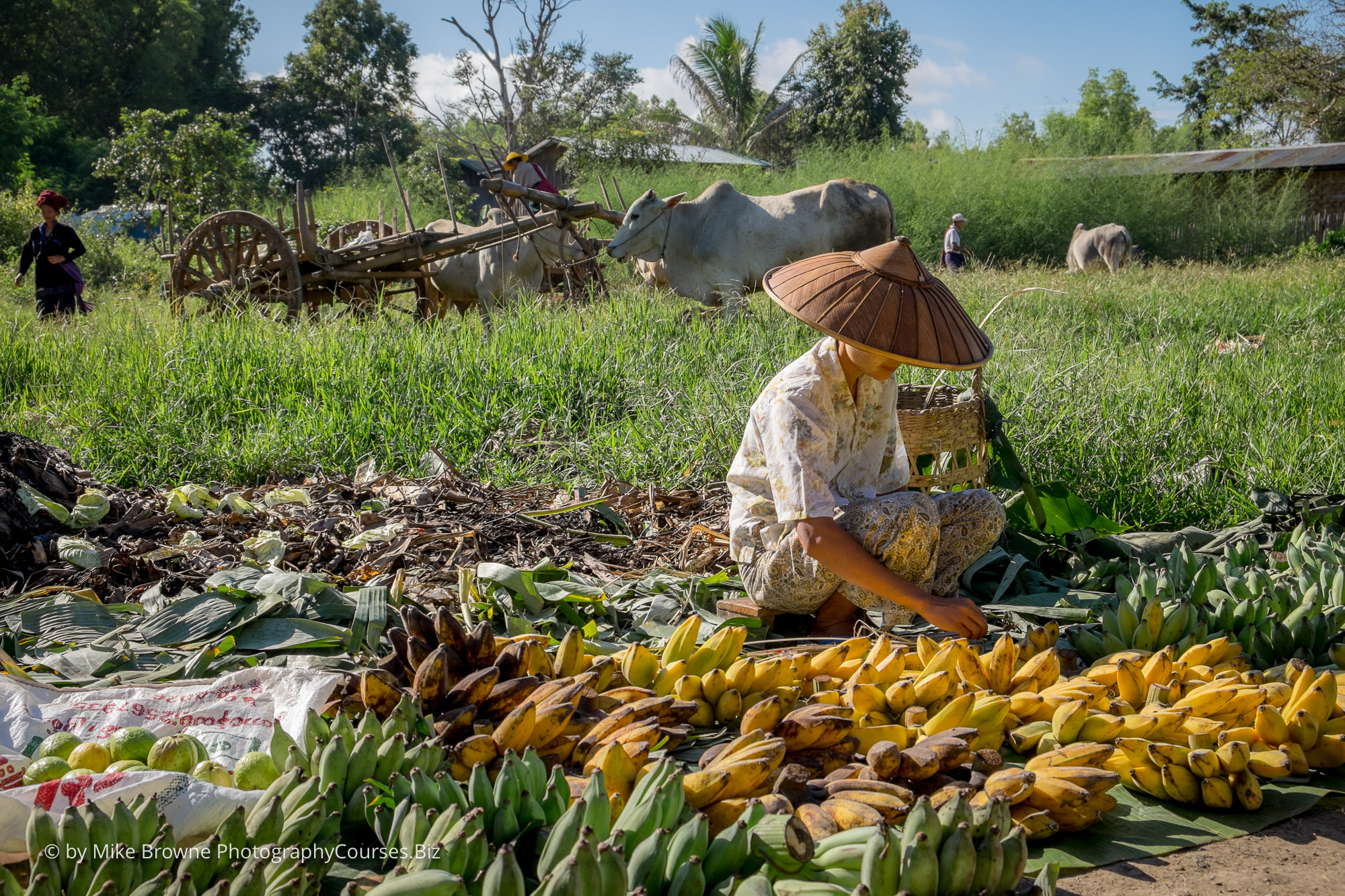 Myanmar 082