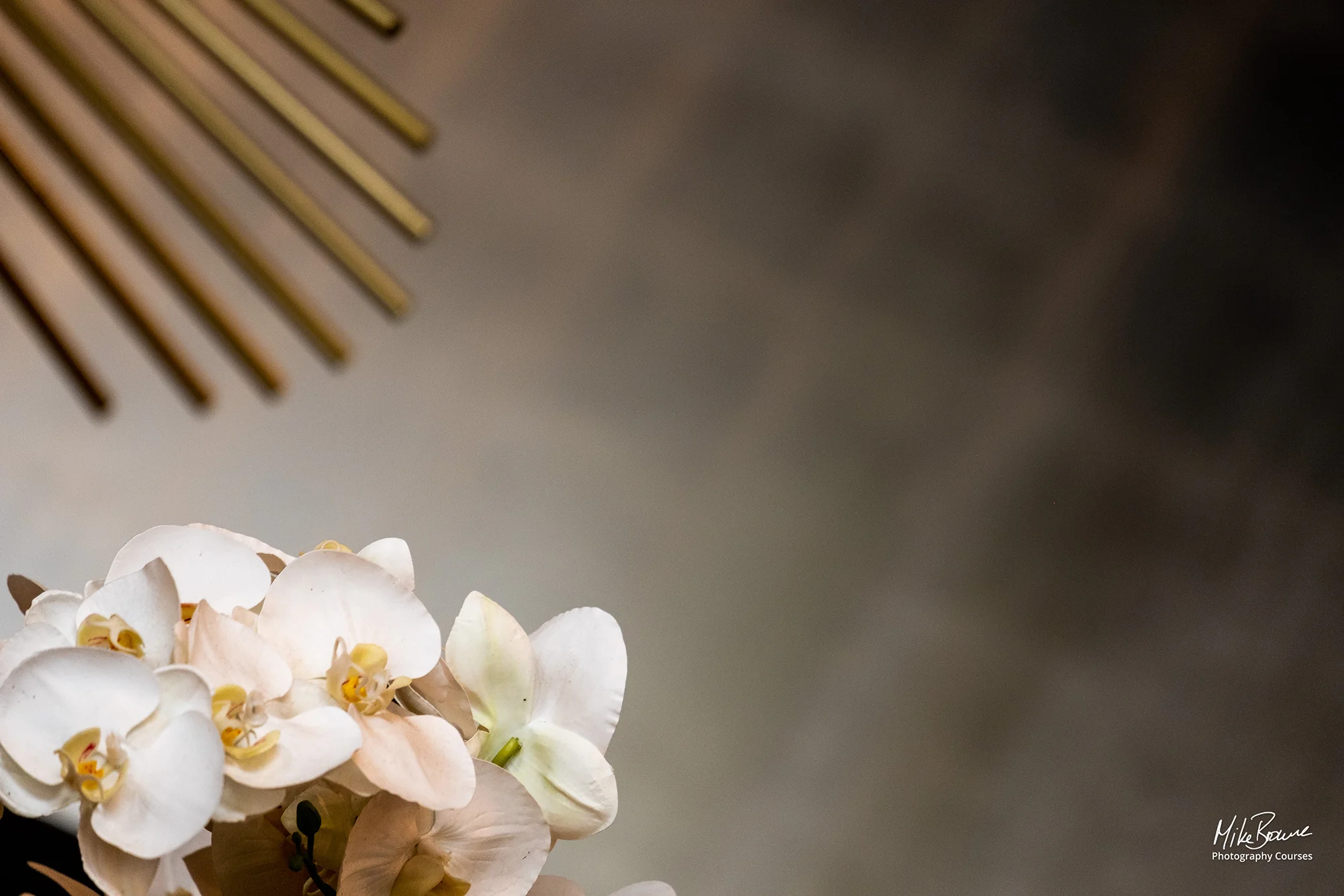 pale flowers against an abstract background