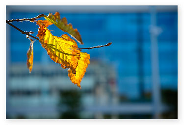 aperture priority