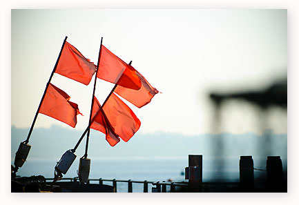 Smaller version of six red tattered flags blowing to the right