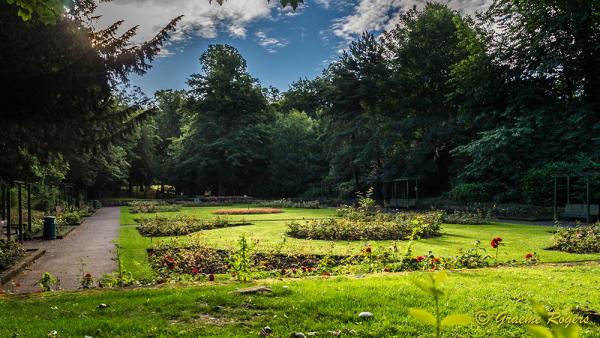 Saltwell-Park-(16-07-2017)-(W)-06.jpg