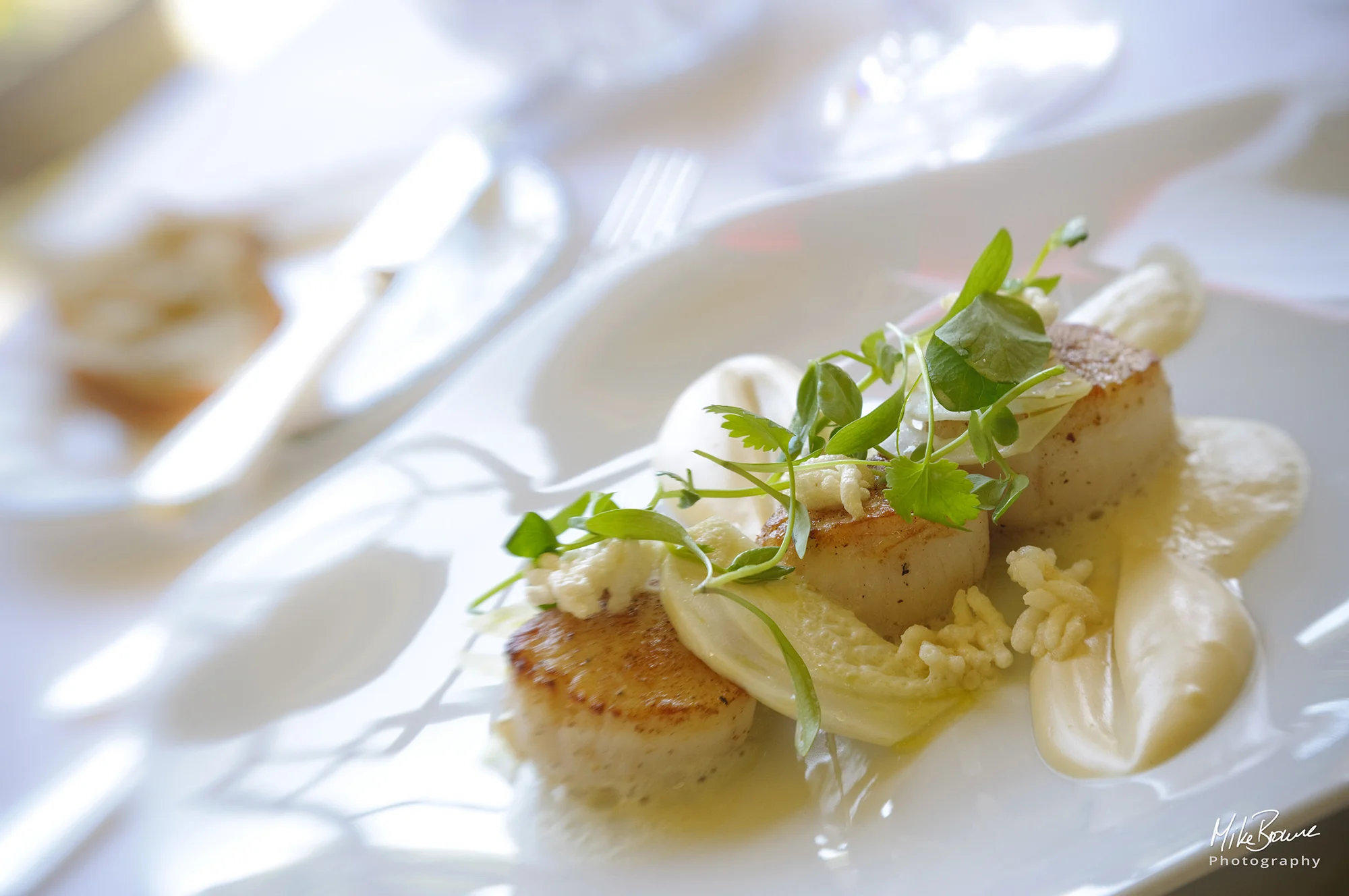 Three seared scallops with puffed rice, foam and herbs on a white plate