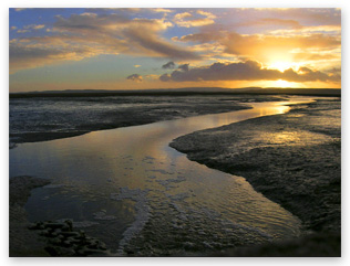 Digital SLR photography, mudflats sunset