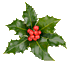 holly-LCE