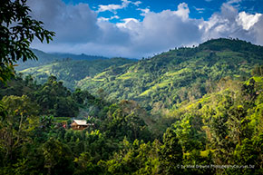 house in mountains 290