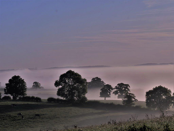 misty landscape