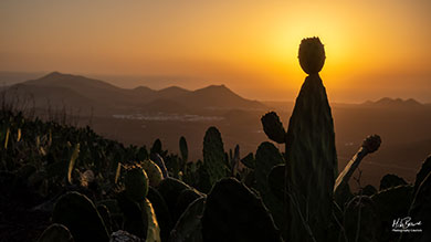 lanzarote small 1