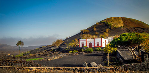 Lanzarote bodega 500