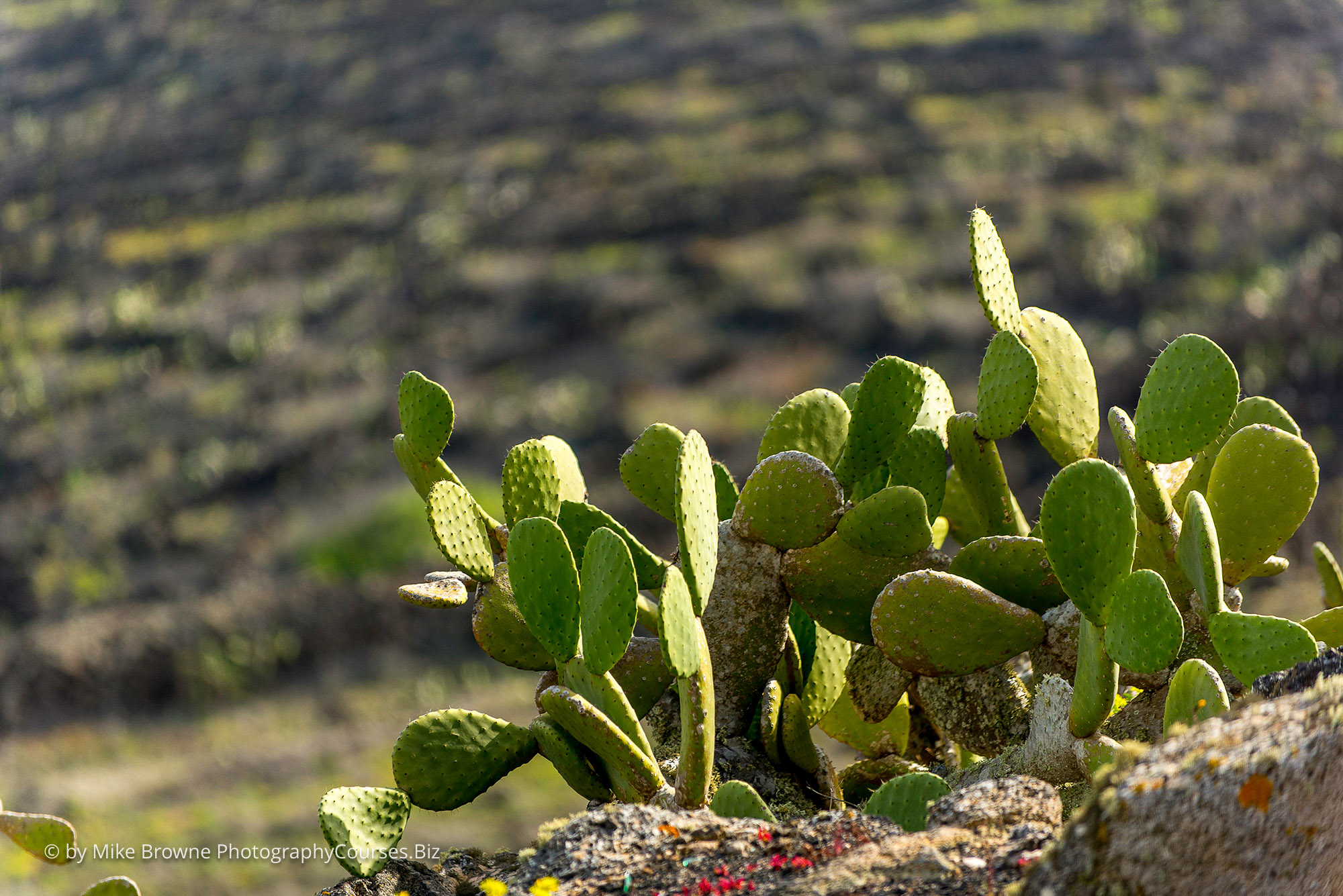 lanzarote workshop 051