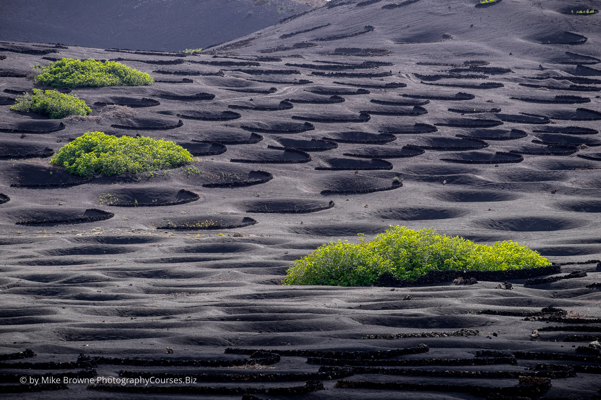 lanzarote workshop 002