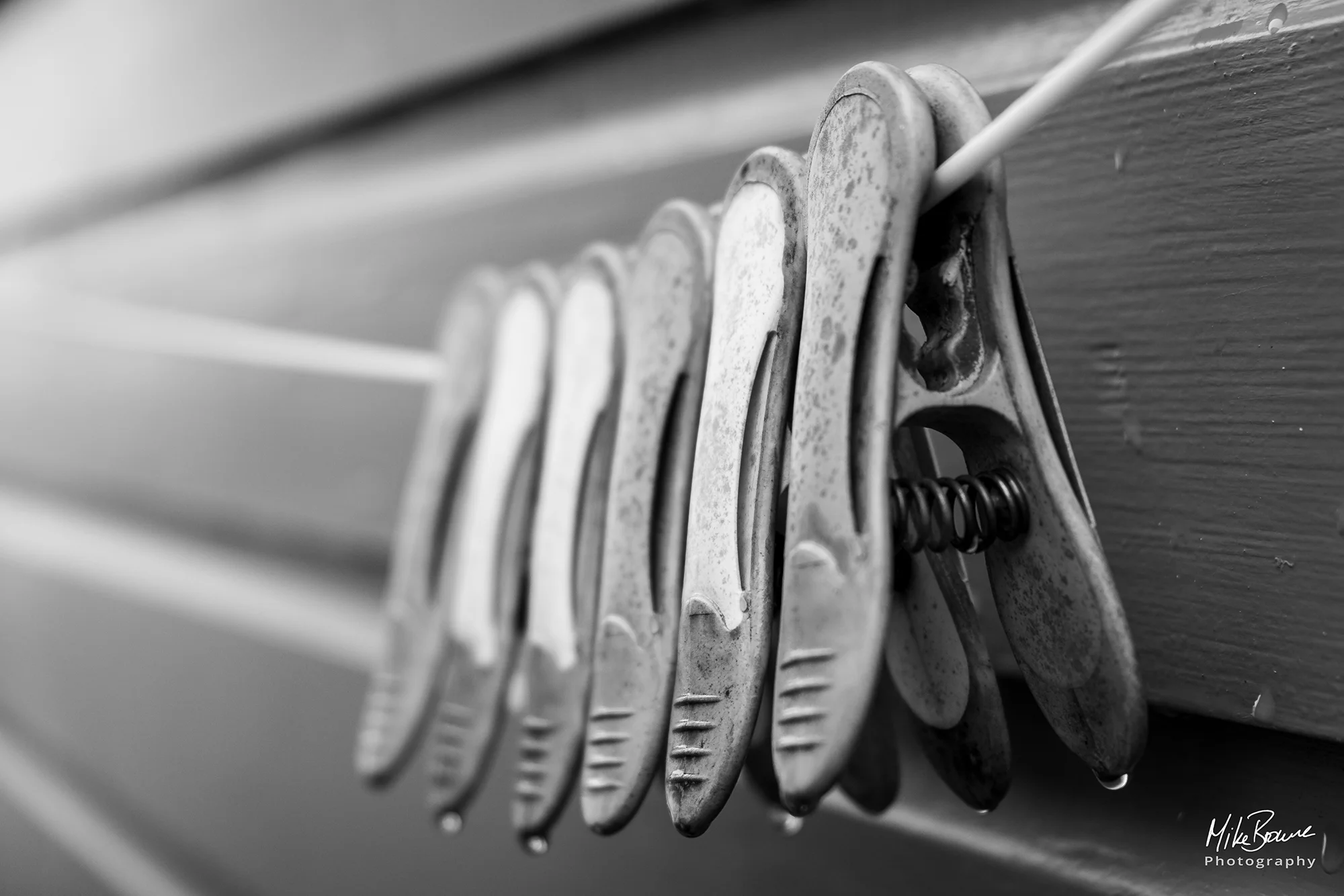 wet clothes pegs hanging on a washing line