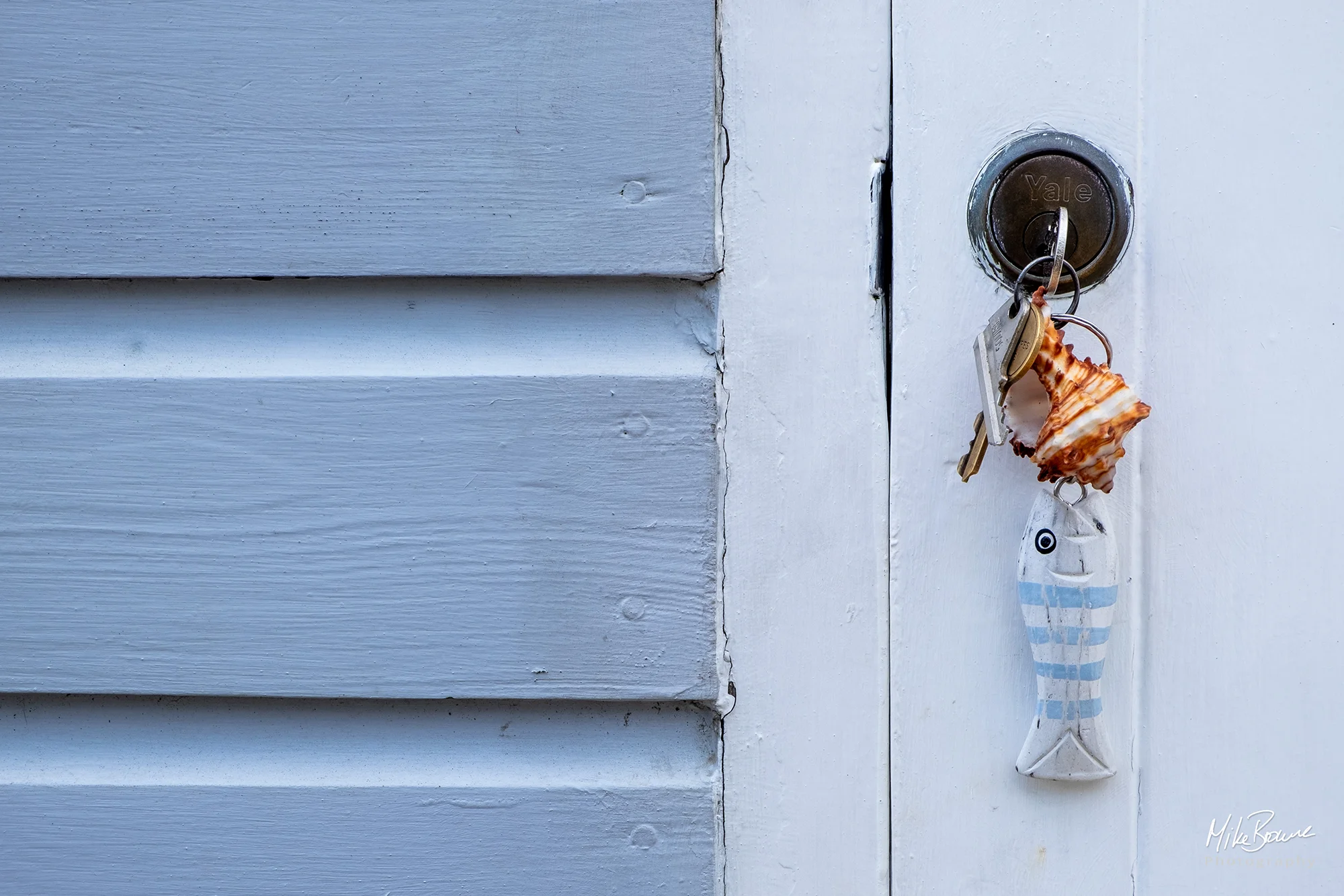 Fish shaped key ring hanging in lock of a grey wooden door