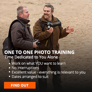 One on One photo training