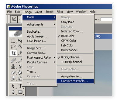 photo-printing-converting