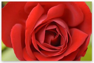photography printing tips