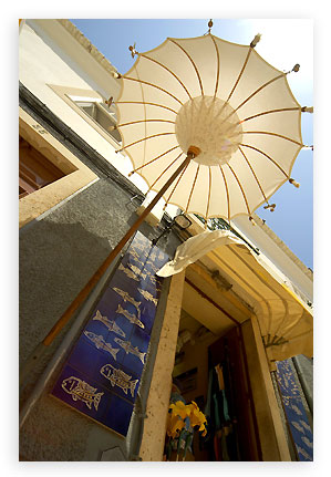 photographic composition - sunshade